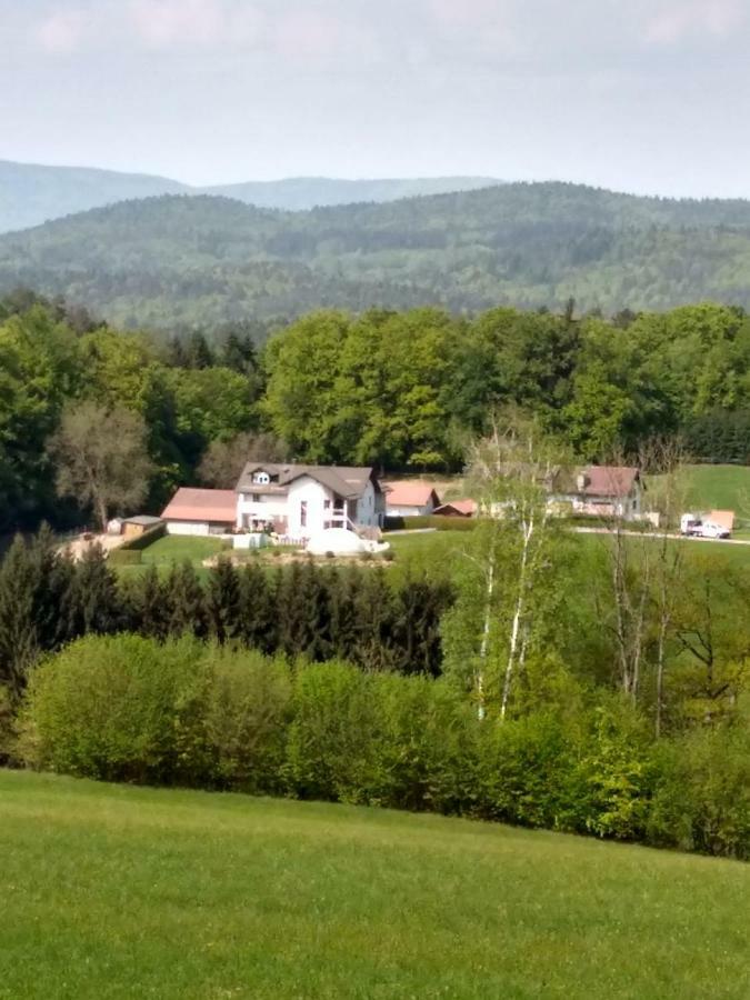 Ferienwohnung Betula Fürstenstein Εξωτερικό φωτογραφία